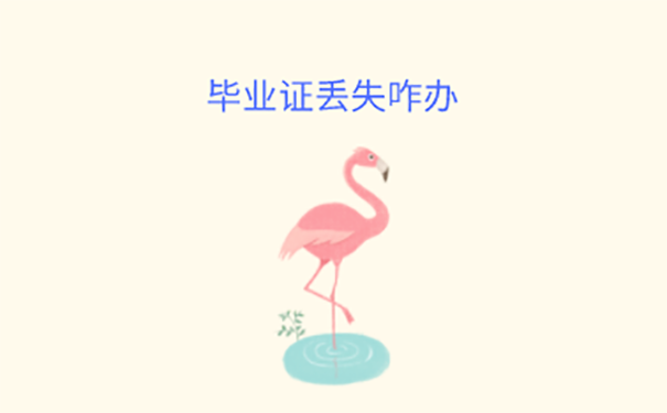 毕业证丢了