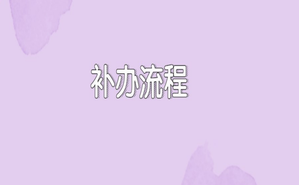 补办流程