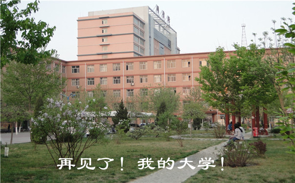 我的大学