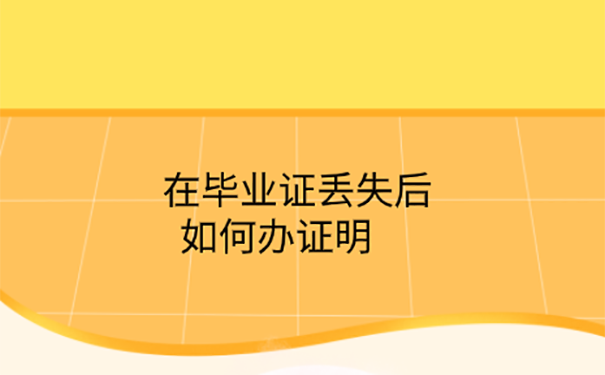 资格证审核毕业证丢了怎么办？ 