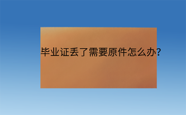 应届生考公务员毕业证丢了怎么办？