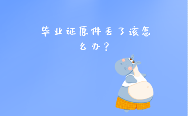 毕业证补办流程？