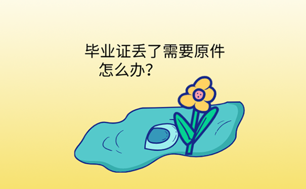 毕业证丢了怎么补？