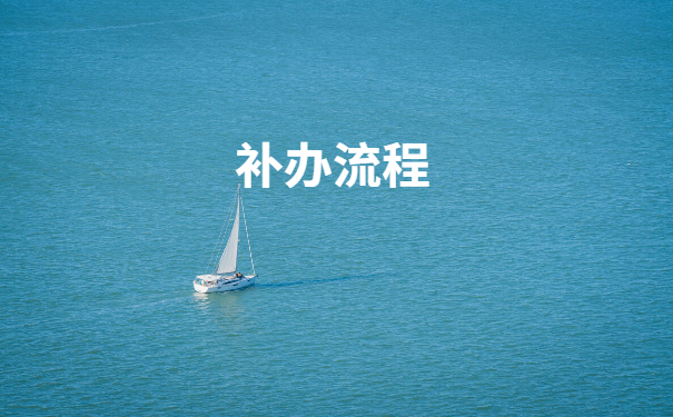 补办流程