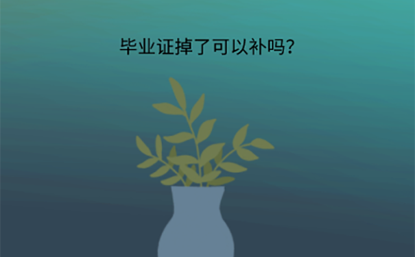 重庆毕业证丢了怎么考编制？