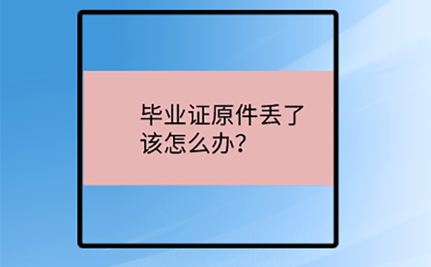 大学毕业证丢了怎么参加二建考试？