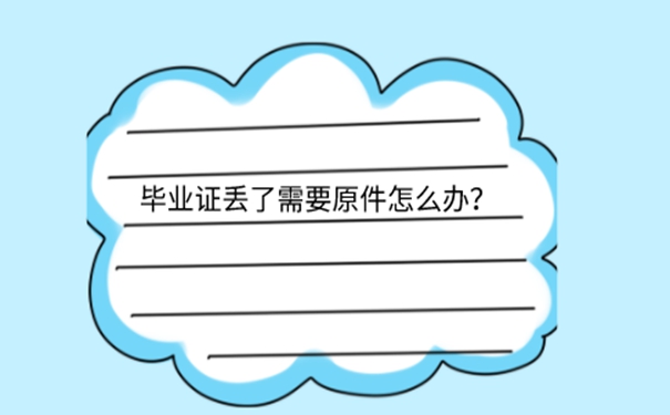 报考一级建造师毕业证丢了怎么办？ 