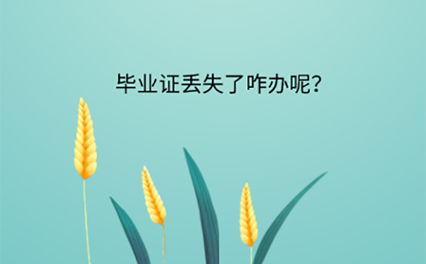 毕业证丢失了怎么补？ 